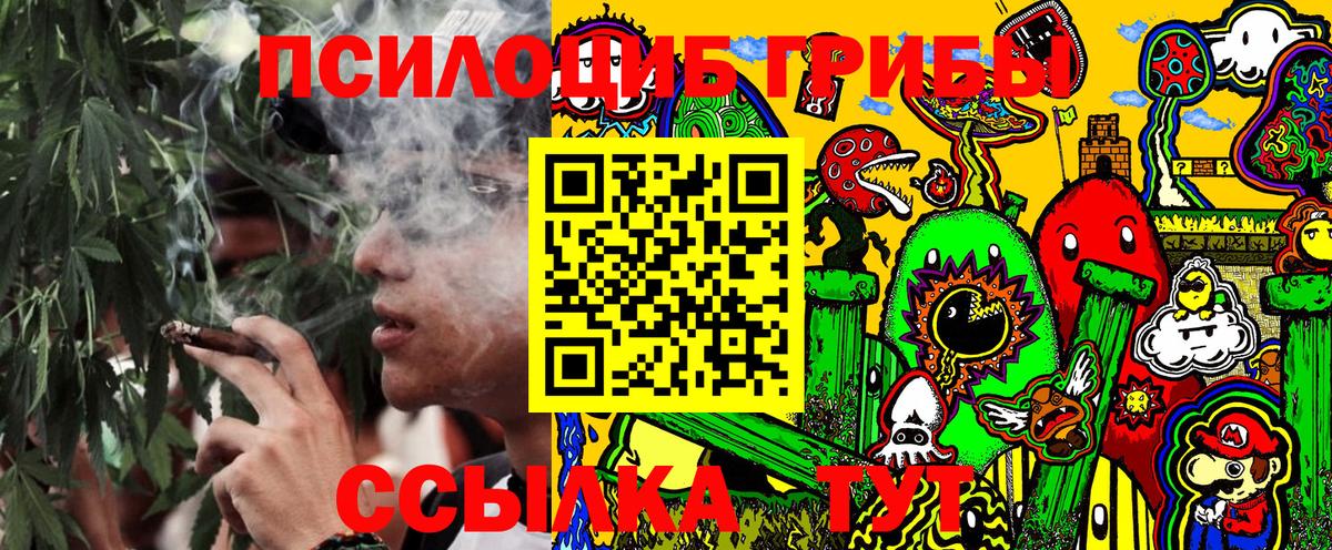 Псилоцибиновые грибы Cubensis Вышний Волочёк