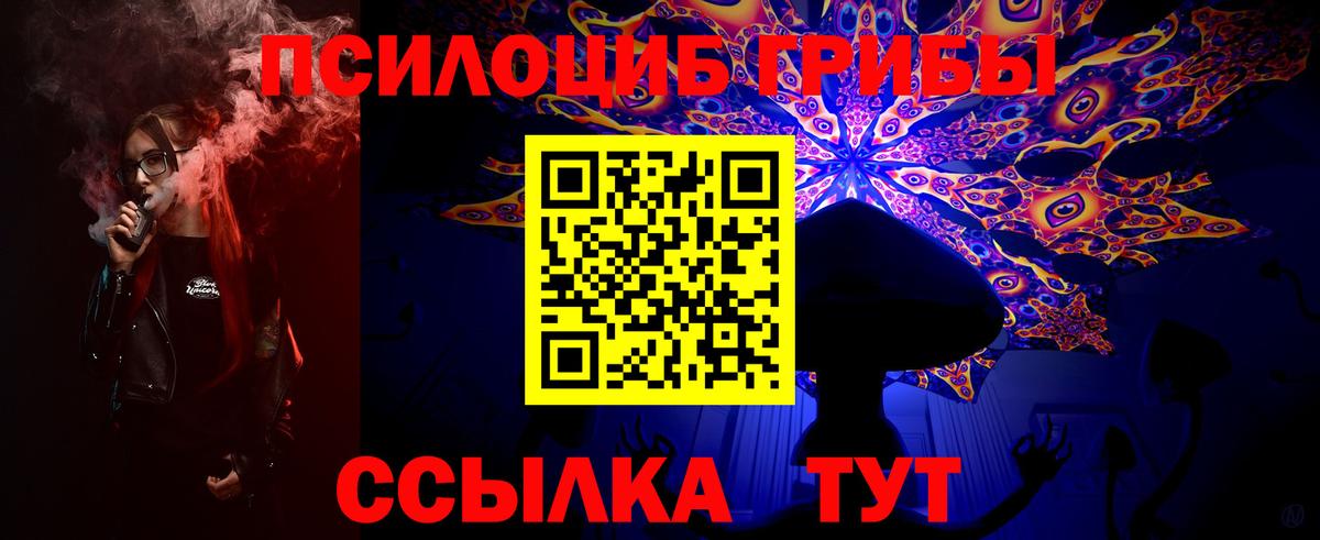Галлюциногенные грибы прущие грибы  Вход с VPN  Вышний Волочёк 
